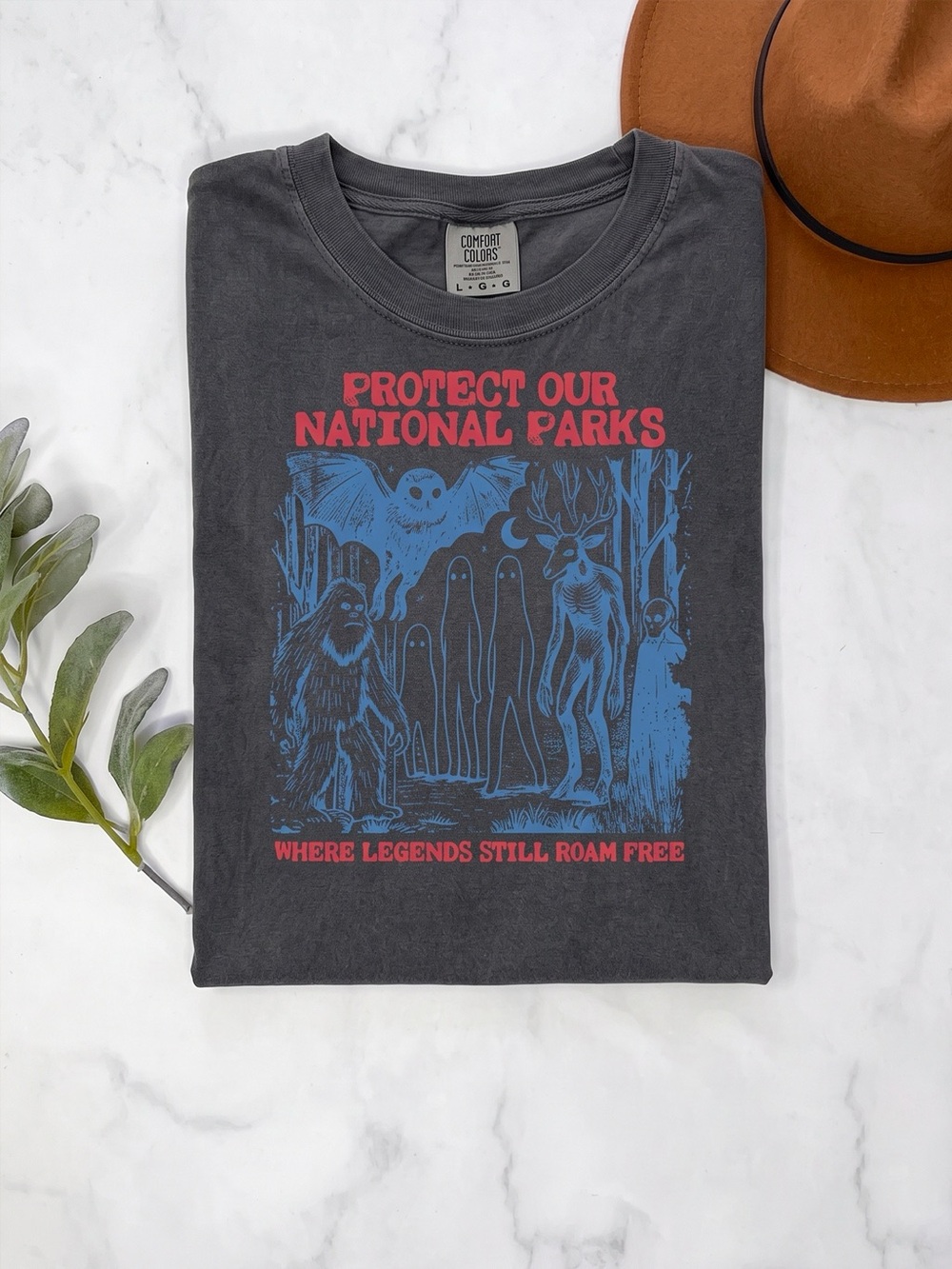 Cryptid National Parks Legends Comfort Colors Washed Black Graphic T-Shirt